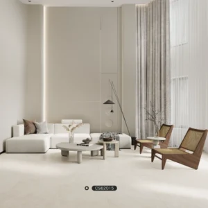 CS62015-1