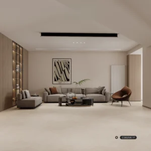 cs62061p