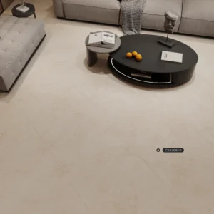 cs62061p