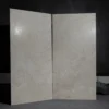 cs62066