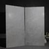 CS62067P