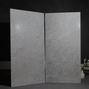CS62067P