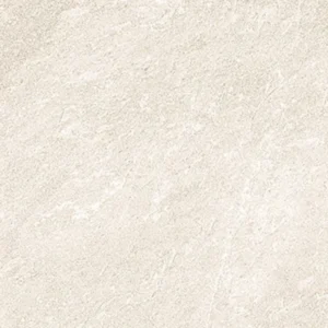CS66015