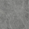 CS66017