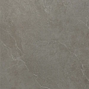 CS66051P