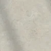 CS66066