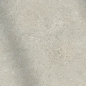 CS66066
