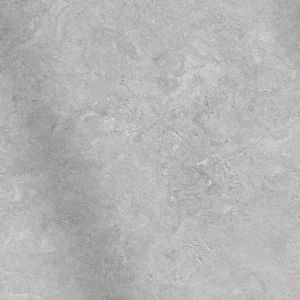 CS66067