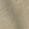 CS66068