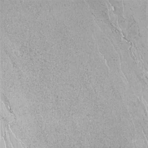 CS66069