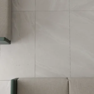 CS66069-4