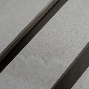 CS66070P-1