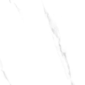 JS6017M