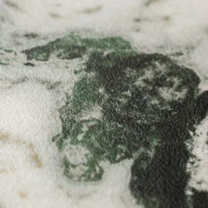 Dalmata-3