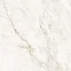 XNYY121211