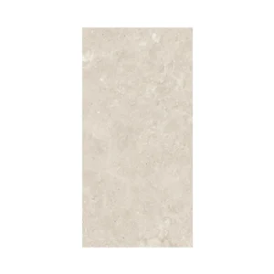 CS62095P